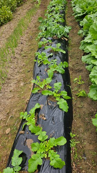 이원복님의 자유주제 · 사진전 작성글 사진