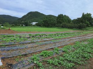 오이15747님의 자유주제 · 자유게시판 작성글 사진