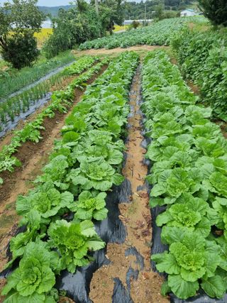 Fahms(전병국)님의 자유주제 · 자유게시판 작성글 사진