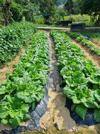 Fahms(전병국)님의 자유주제 · 자유게시판 작성글 사진