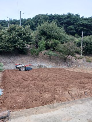 형아님의 자유주제 · 자유게시판 작성글 사진