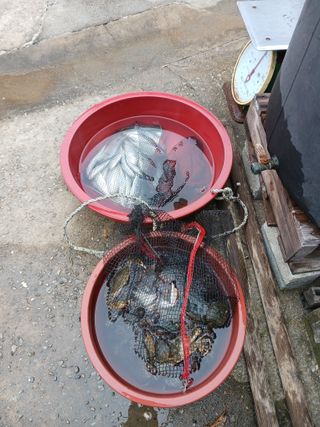 형아님의 자유주제 · 자유게시판 작성글 사진