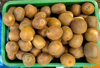 농부손녀님의 자유주제 · 자유게시판 작성글 사진