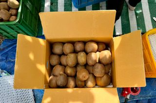 농부손녀님의 자유주제 · 자유게시판 작성글 사진