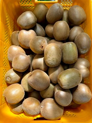 농부손녀님의 자유주제 · 자유게시판 작성글 사진