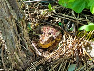 농부손녀님의 자유주제 · 자유게시판 작성글 사진
