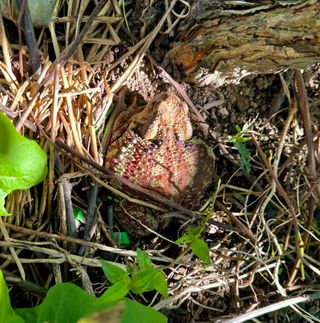 농부손녀님의 자유주제 · 자유게시판 작성글 사진