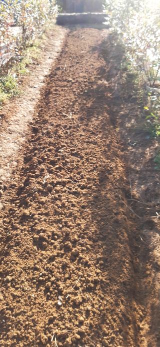 마당쇠님의 자유주제 · 자유게시판 작성글 사진