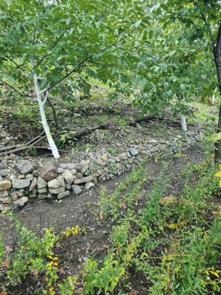 김용대님의 자유주제 · 자유게시판 작성글 사진