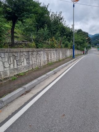 김용대님의 자유주제 · 자유게시판 작성글 사진