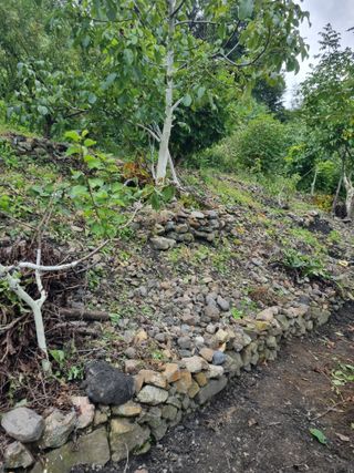 김용대님의 자유주제 · 자유게시판 작성글 사진