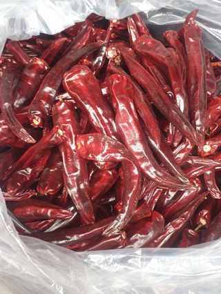 이정자님의 고추 · 영농일지 작성글 사진