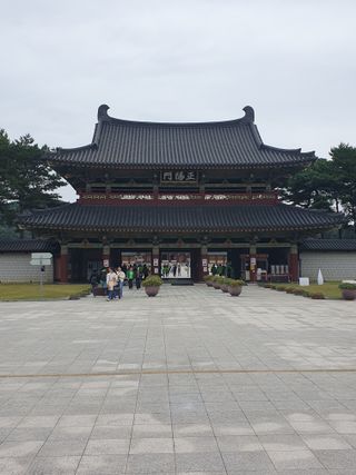 작은소나무님의 자유주제 · 자유게시판 작성글 사진