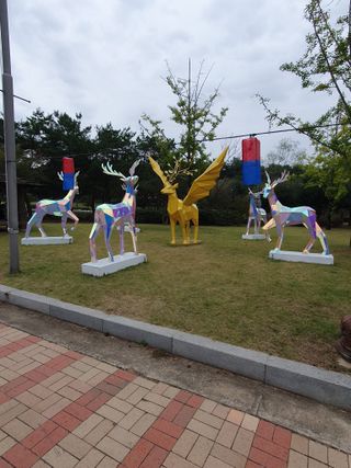 작은소나무님의 자유주제 · 자유게시판 작성글 사진