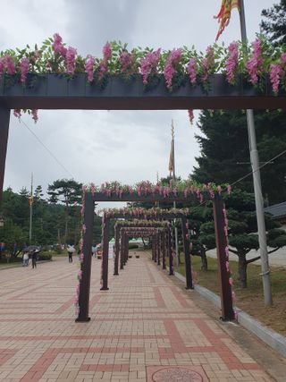 작은소나무님의 자유주제 · 자유게시판 작성글 사진