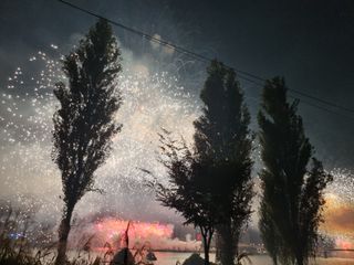 손병만님의 자유주제 · 자유게시판 작성글 사진