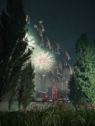 손병만님의 자유주제 · 자유게시판 작성글 사진