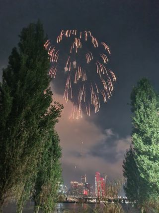 손병만님의 자유주제 · 자유게시판 작성글 사진