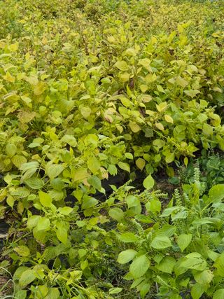 참깨10143님의 자유주제 · 자유게시판 작성글 사진