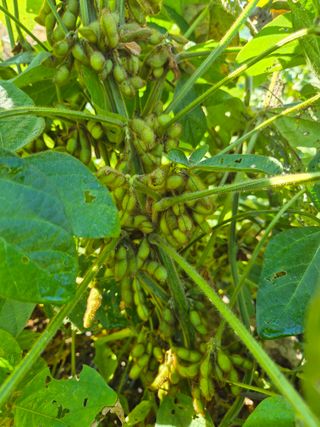 참깨10143님의 자유주제 · 자유게시판 작성글 사진