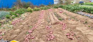 김길수님의 자유주제 · 자유게시판 작성글 사진