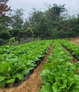 윤병주님의 자유주제 · 자유게시판 작성글 사진