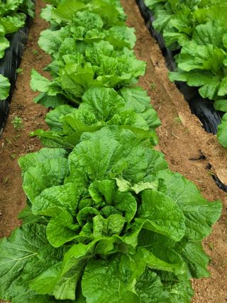 윤병주님의 자유주제 · 자유게시판 작성글 사진