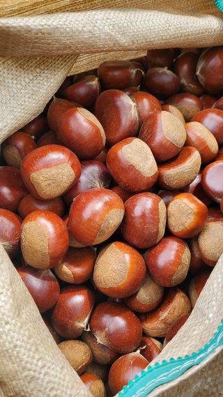 권혜전님의 10월 내 농작물 자랑하기 · 참여글 작성글 사진