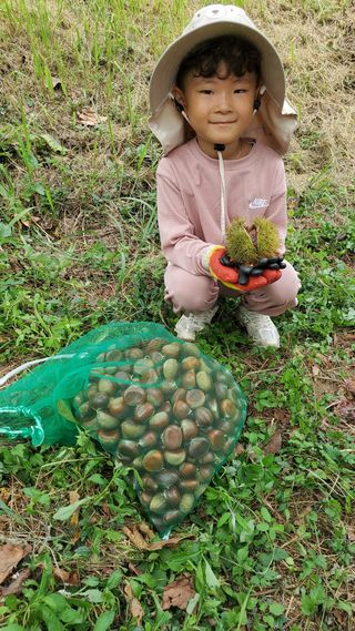 권혜전님의 10월 내 농작물 자랑하기 · 참여글 작성글 사진