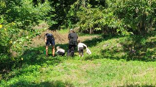 권혜전님의 10월 내 농작물 자랑하기 · 참여글 작성글 사진