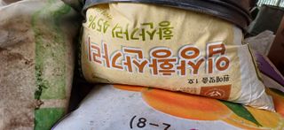 보물섬남자님의 귤 · 영농일지 작성글 사진