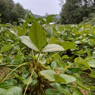 알 수 없음님의 자유주제 · 자유게시판 작성글 사진