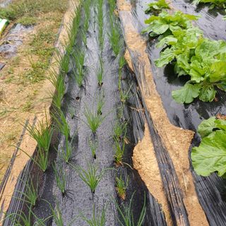 알 수 없음님의 자유주제 · 자유게시판 작성글 사진