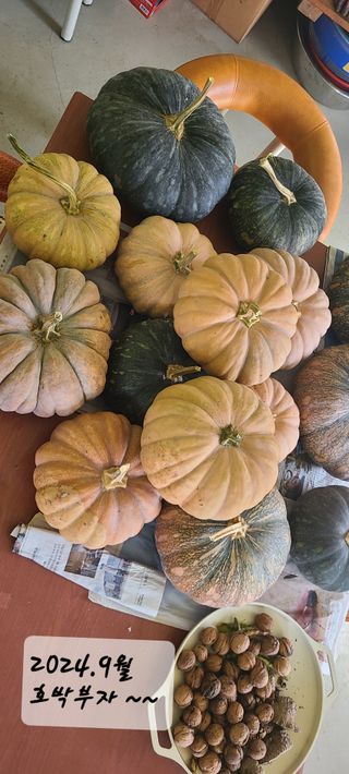 풀잎사랑님의 10월 내 농작물 자랑하기 · 참여글 작성글 사진