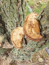 팜모닝 10월 내 농작물 자랑하기·참여글 게시글 이미지