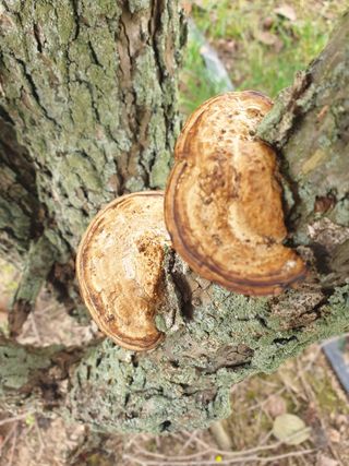 김화연님의 10월 내 농작물 자랑하기 · 참여글 작성글 사진