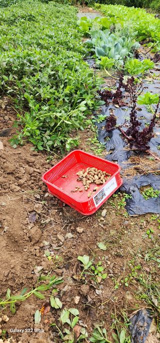 28 268 HQ님의 자유주제 · 자유게시판 작성글 사진