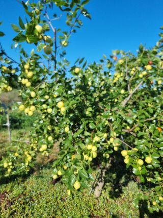 유재현님의 10월 내 농작물 자랑하기 · 참여글 작성글 사진