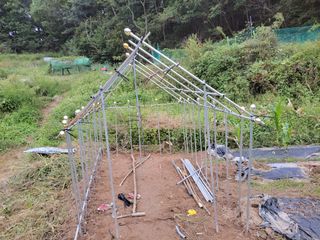 원빈님의 자유주제 · 자유게시판 작성글 사진