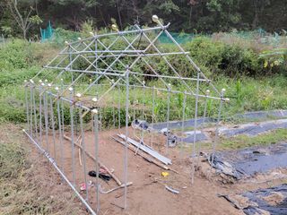 원빈님의 자유주제 · 자유게시판 작성글 사진