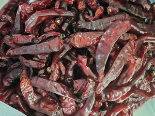 김연후님의 고추 · 영농일지 작성글 사진