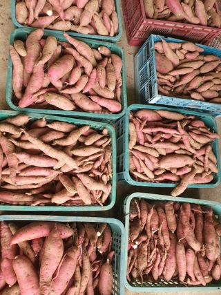 이재영님의 자유주제 · 자유게시판 작성글 사진