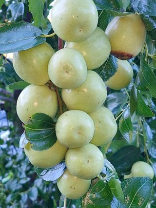 이정자님의 자유주제 · 자유게시판 작성글 사진