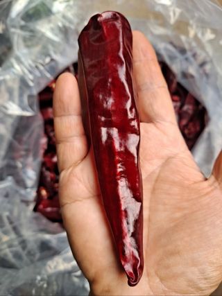 이정자님의 자유주제 · 자유게시판 작성글 사진