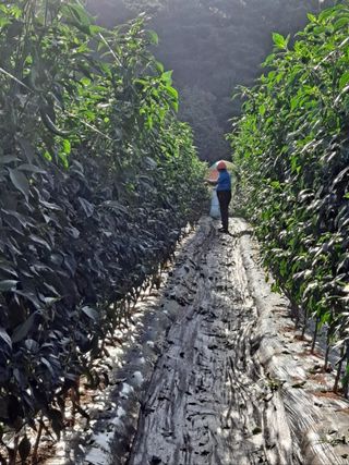 이정자님의 자유주제 · 자유게시판 작성글 사진