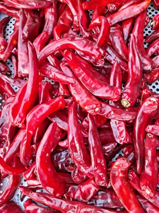 이정자님의 자유주제 · 자유게시판 작성글 사진