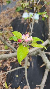 팜모닝 자유주제·자유게시판 게시글 이미지