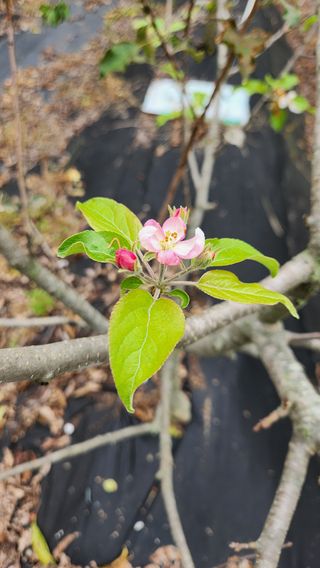 호두마루님의 자유주제 · 자유게시판 작성글 사진
