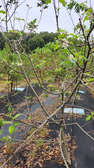 호두마루님의 자유주제 · 자유게시판 작성글 사진