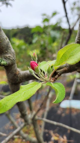 호두마루님의 자유주제 · 자유게시판 작성글 사진